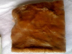 擁抱自然，守護童年 供應環保大豆纖維毛絨玩具布